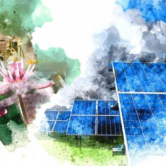 Innovations environnementales : un nouveau partenariat avec AgroParisTech