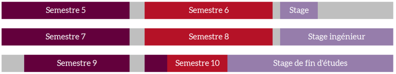 Calendrier des 3 années Ingénieur de Spécialité