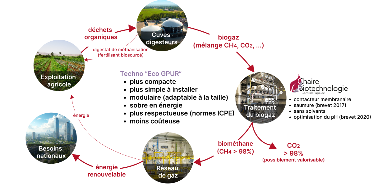 infographie