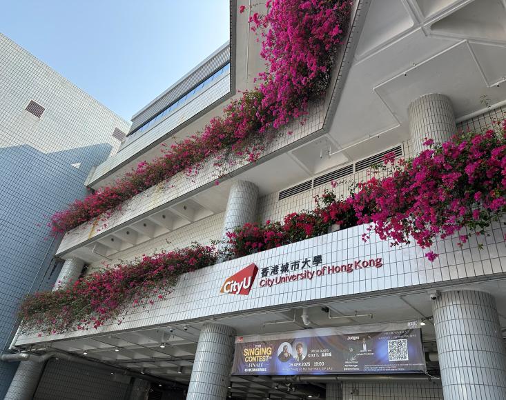 Bachelor of Engineering – City University of Hong Kong joint degree - CentraleSupélec