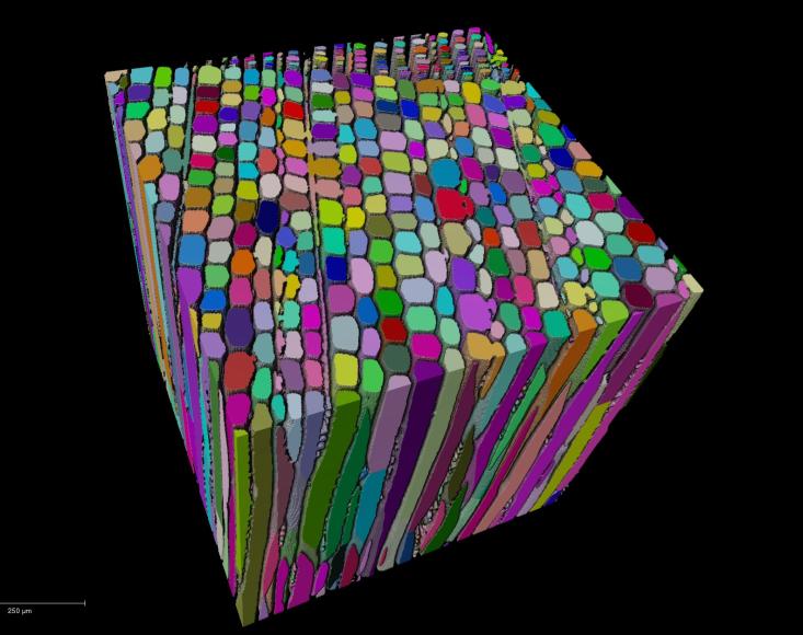 expérience synchrotron sur des matériaux biosourcés