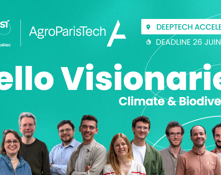verticale climat