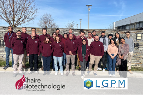 Equipe de la Chaire de Biotechnologie (LGPM)