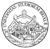 Universita Degli Studi di Brescia