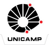 Universidade Estadual de Campinas - UNICAMP