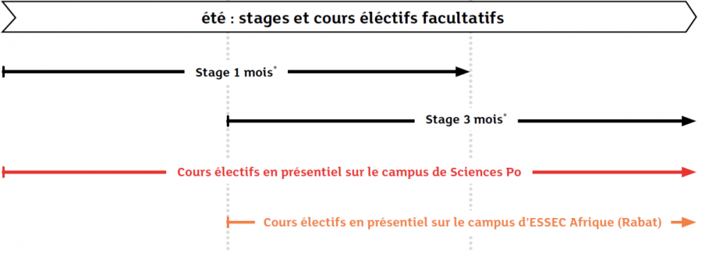 Structure des cours HEPTA
