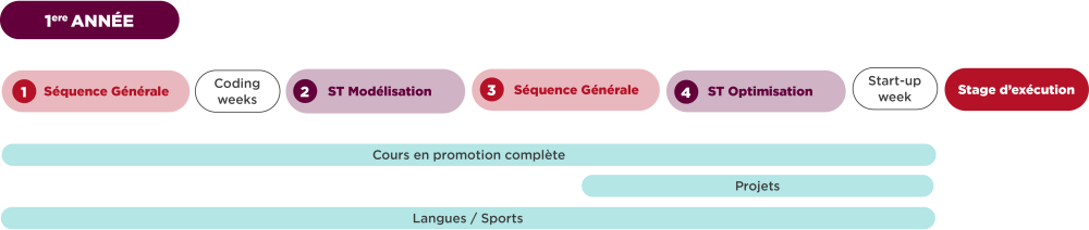 Cursus de première année