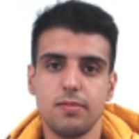 Ali Fekry Ali Hassan Elkeshawy