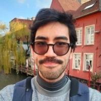 Henrique Miyamoto