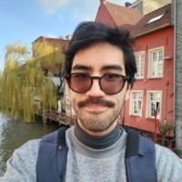 Henrique Koji Miyamoto