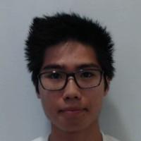 Tan-Phong Luu