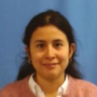 Nelly Vanessa Padilla Bello