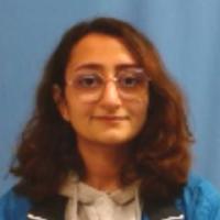 Sayeh Gholipour Picha