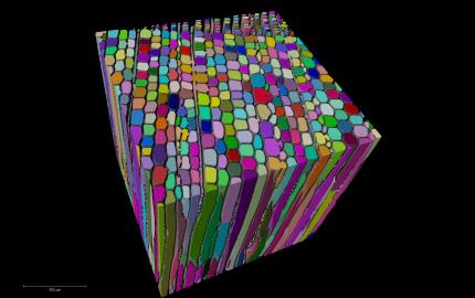 expérience synchrotron sur des matériaux biosourcés
