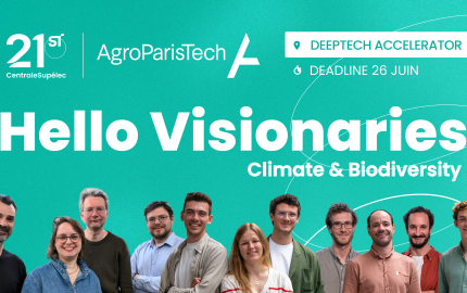 verticale climat