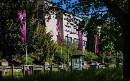 Université Paris Saclay